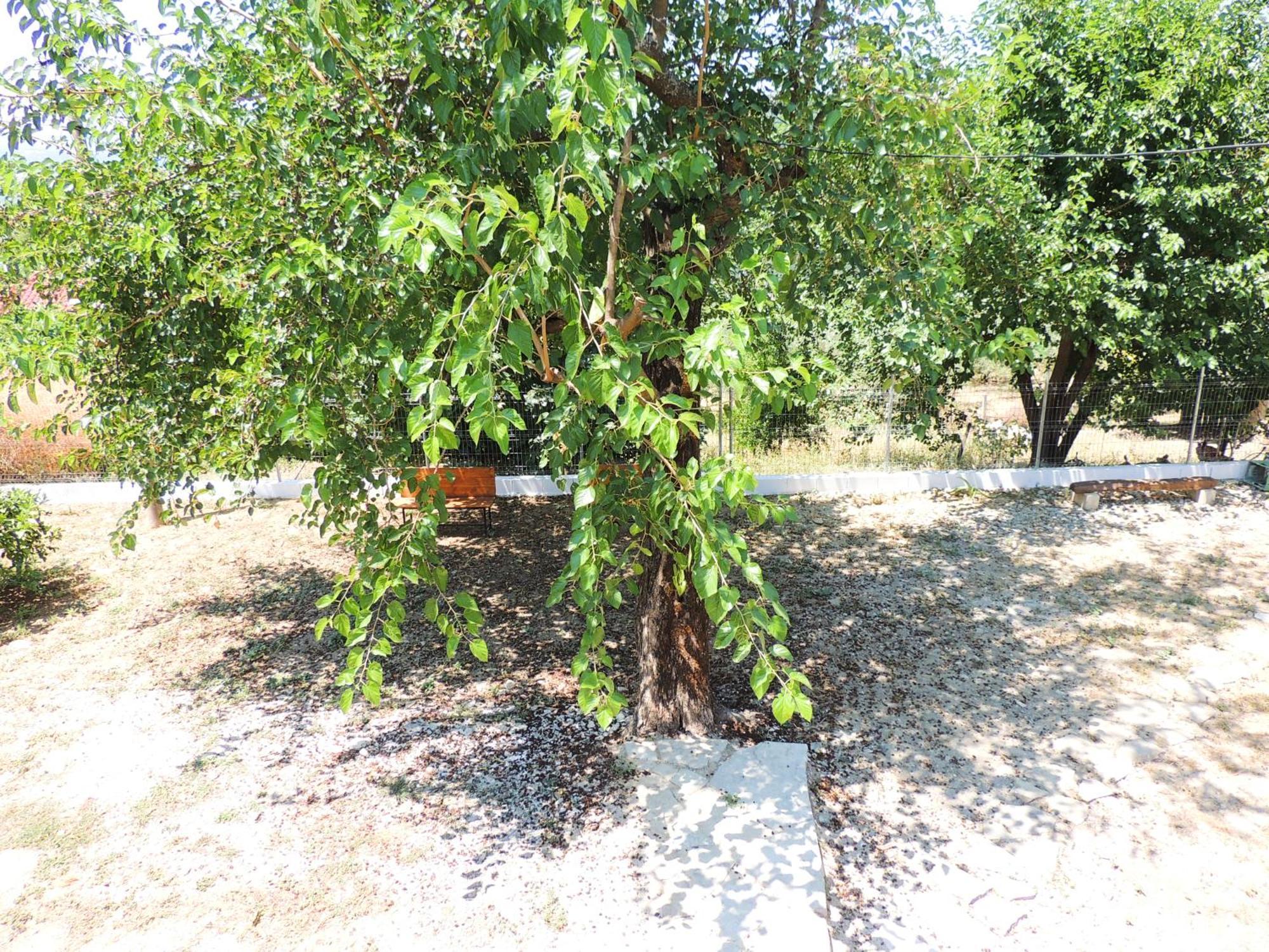 Pensjonat Parents House Berat