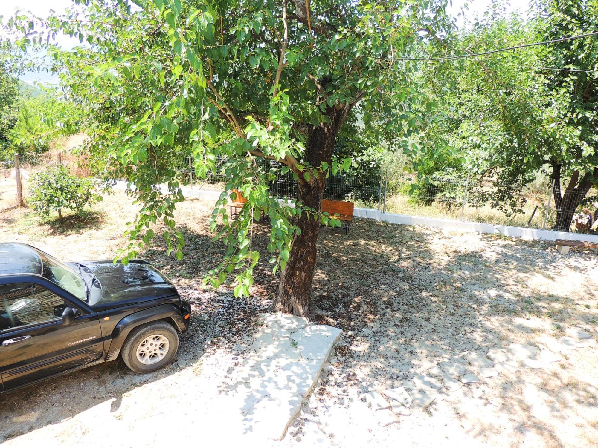 Parents House * Berat