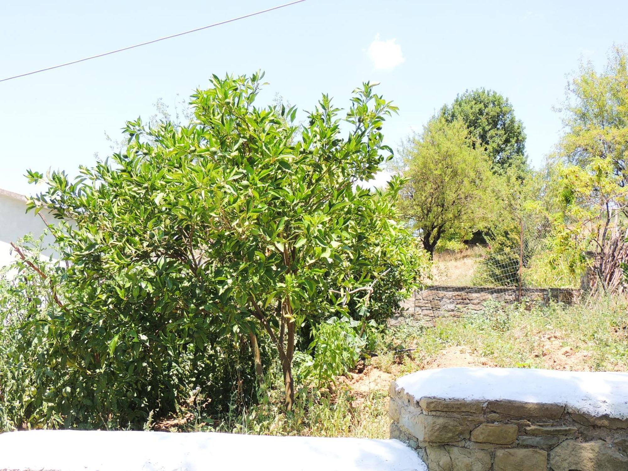 Pensjonat Parents House